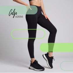 Calza Lisa Microfibra